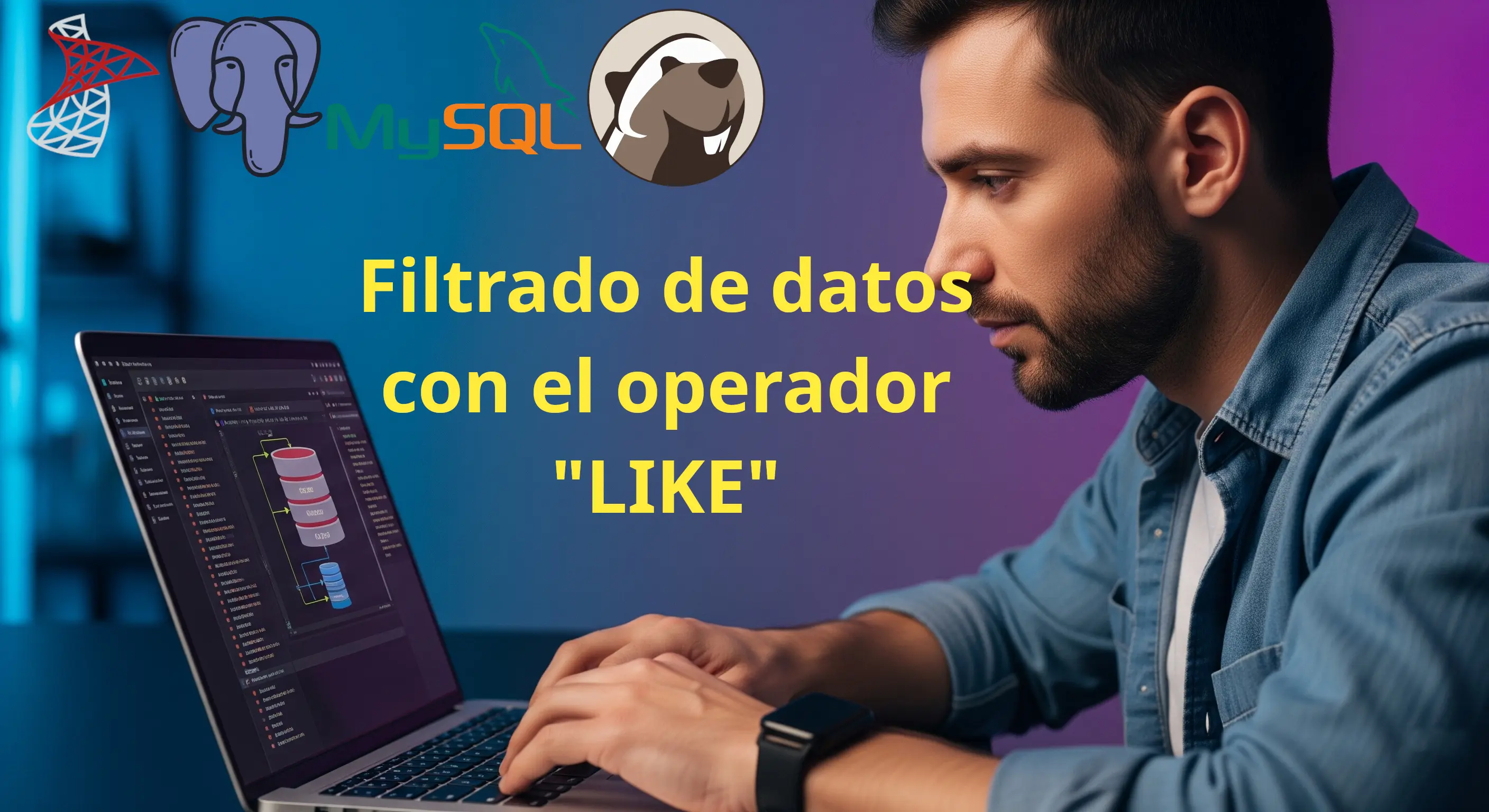 Imagen del artículo sobre "Filtrado de datos con el operador LIKE.webp"